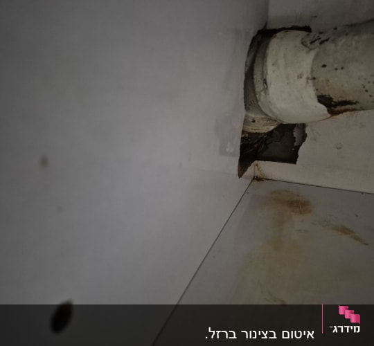 צינור עם סימני חלודה ונזק בקיר